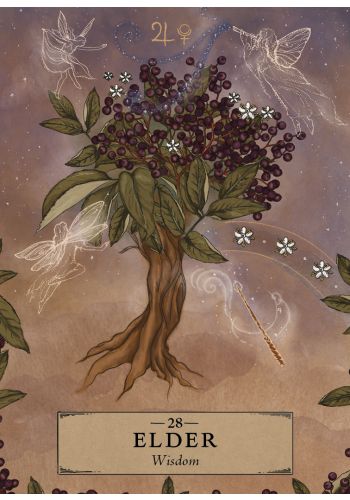 The Herbal Astrology Oracle - Pocket Sized Edition