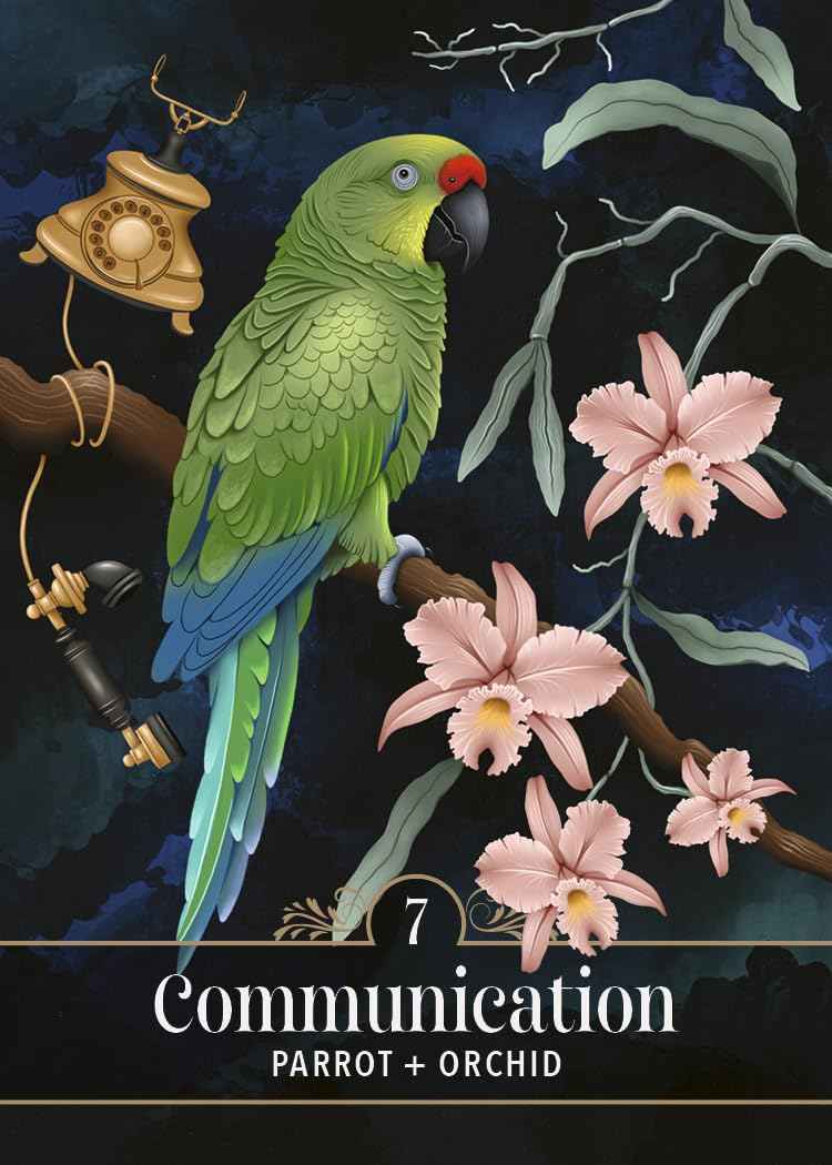 The Familiar Magic Pocket Oracle : A 44-Card Deck and Guidebook