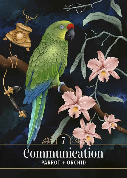 The Familiar Magic Pocket Oracle : A 44-Card Deck and Guidebook