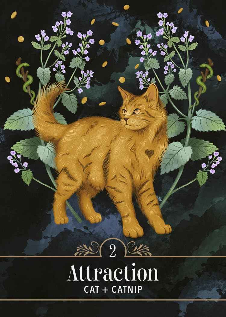 The Familiar Magic Pocket Oracle : A 44-Card Deck and Guidebook