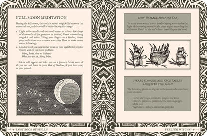 Lost Book of Spells - Fiona Horne