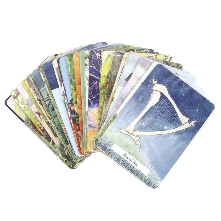 The Witches Wisdom Tarot - Standard Edition